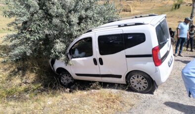 Son Dakika: Muradiye’de Trafik Kazası: Kamyonet Şarampole Yuvarlandı