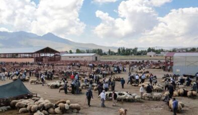 Van’da Şap Hastalığı Kontrol Altına Alındı, Hayvan Pazarları Yeniden Açıldı