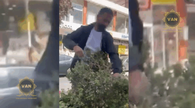 Van’da Orta Refüjdeki Ağaç ve Çiçeklere Zarar Veren Şahıs Suçüstü Yakalandı