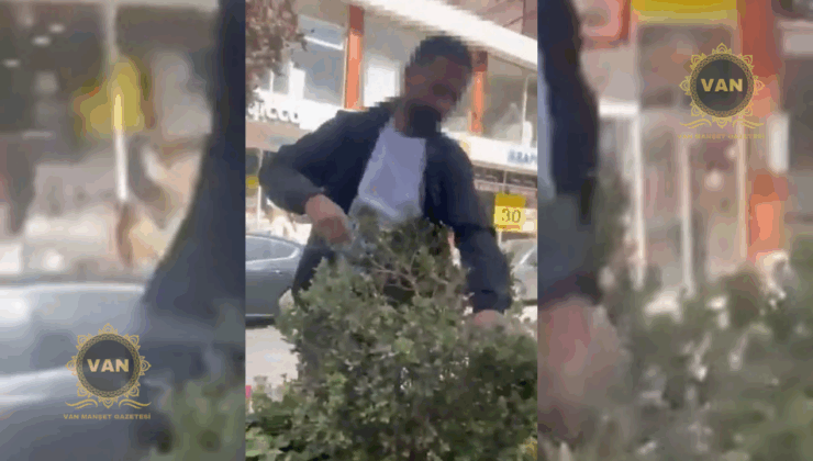 Van’da Orta Refüjdeki Ağaç ve Çiçeklere Zarar Veren Şahıs Suçüstü Yakalandı