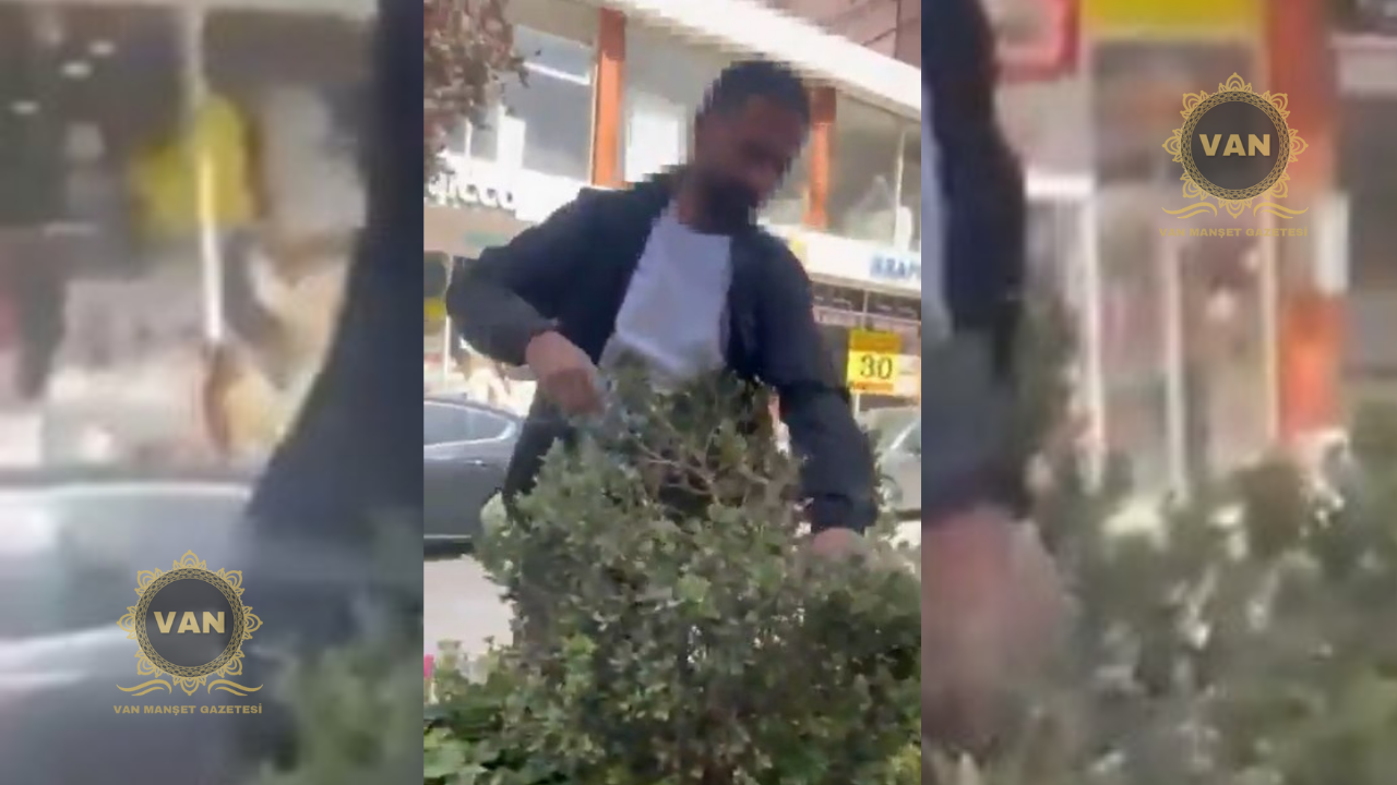 Van’da Orta Refüjdeki Ağaç ve Çiçeklere Zarar Veren Şahıs Suçüstü Yakalandı