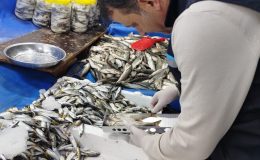 Van’da Su Ürünleri Satış Noktaları ve Yetiştiricilik Tesislerinde Denetim