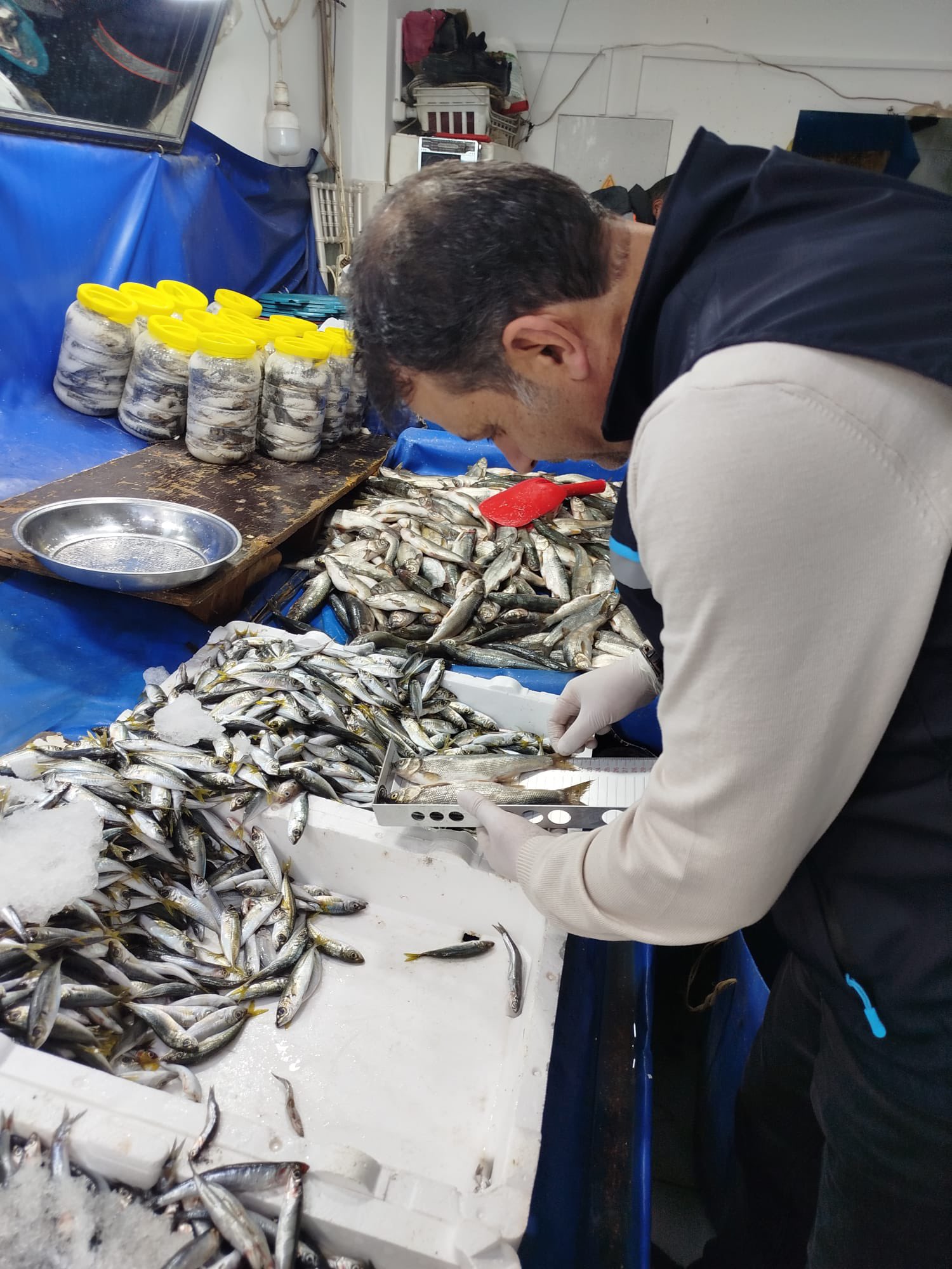 Van’da Su Ürünleri Satış Noktaları ve Yetiştiricilik Tesislerinde Denetim