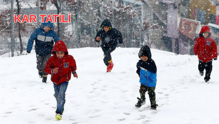 Van’da Kar Tatili Olan İlçeler Hangileri? İşte Eğitime Ara Verilen Yerler